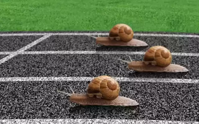 snails  from Chrome web store to be run with OffiDocs Chromium online