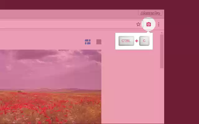 SnapSite  from Chrome web store to be run with OffiDocs Chromium online