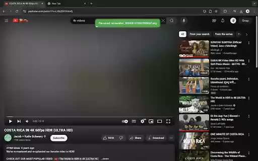 SnapStudy  from Chrome web store to be run with OffiDocs Chromium online