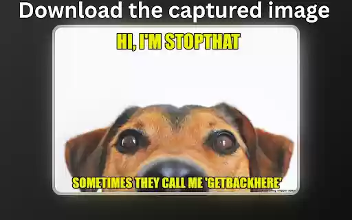 SnipBox — Lets make this Meme worthy!  from Chrome web store to be run with OffiDocs Chromium online