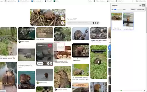 SnipSnap The ultimate selection tool  from Chrome web store to be run with OffiDocs Chromium online