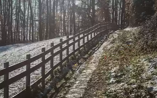 Snowy Pathway Along a Forest in Winter  from Chrome web store to be run with OffiDocs Chromium online