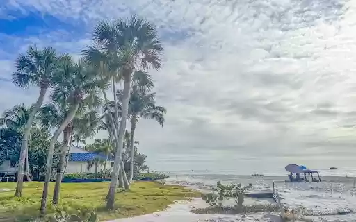 Soaring sea palms from Chrome web store to be run with OffiDocs Chromium online Soaring sea palms from Chrome web store to be run with OffiDocs Chromium online