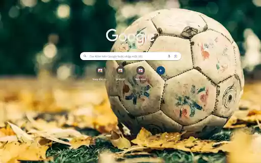 Soccer Ball On Leaft Field Autumn  from Chrome web store to be run with OffiDocs Chromium online