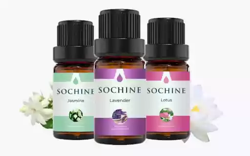 Sochine from Chrome web store to be run with OffiDocs Chromium online Sochine from Chrome web store to be run with OffiDocs Chromium online