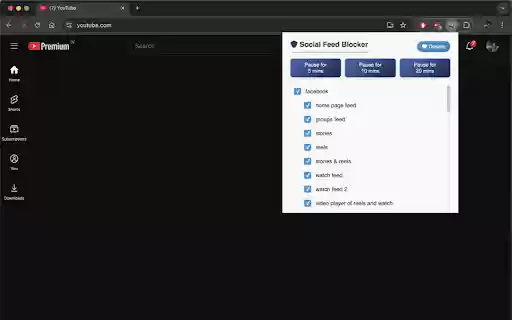 Social Feeds Blocker  from Chrome web store to be run with OffiDocs Chromium online