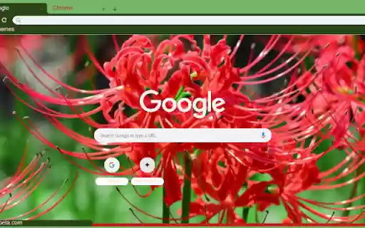 Spider Lily  from Chrome web store to be run with OffiDocs Chromium online