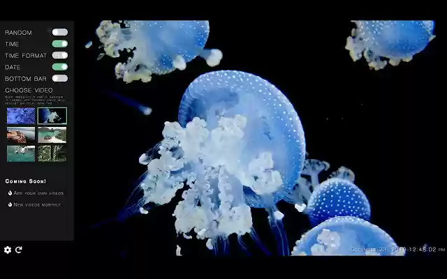 Splendid  from Chrome web store to be run with OffiDocs Chromium online