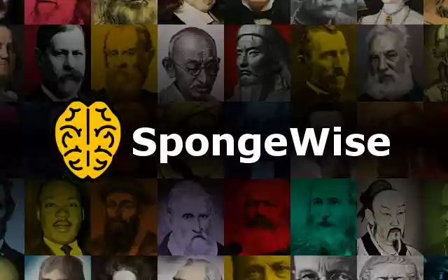 SpongeWise Flashcard Clipper  from Chrome web store to be run with OffiDocs Chromium online