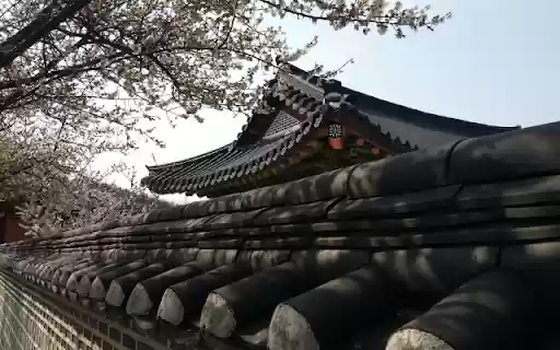 Spring Blossoms Over a Palace Wall  from Chrome web store to be run with OffiDocs Chromium online
