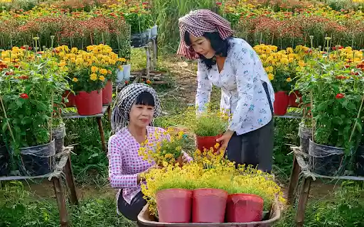Spring garden  from Chrome web store to be run with OffiDocs Chromium online