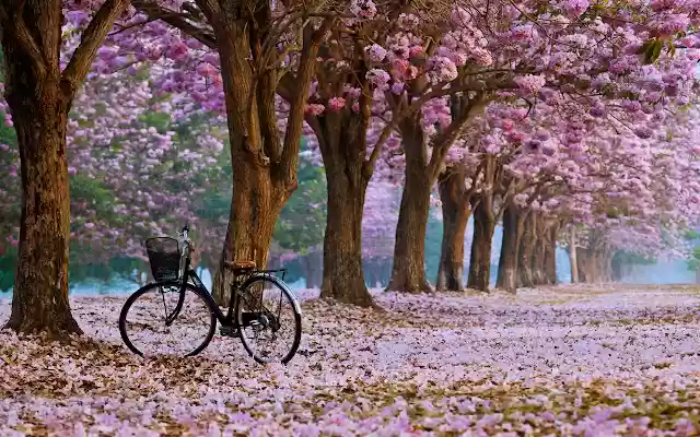 Spring Weather Berlin  from Chrome web store to be run with OffiDocs Chromium online