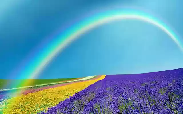 Spring Weather In Florida from Chrome web store to be run with OffiDocs Chromium online Spring Weather In Florida from Chrome web store to be run with OffiDocs Chromium online