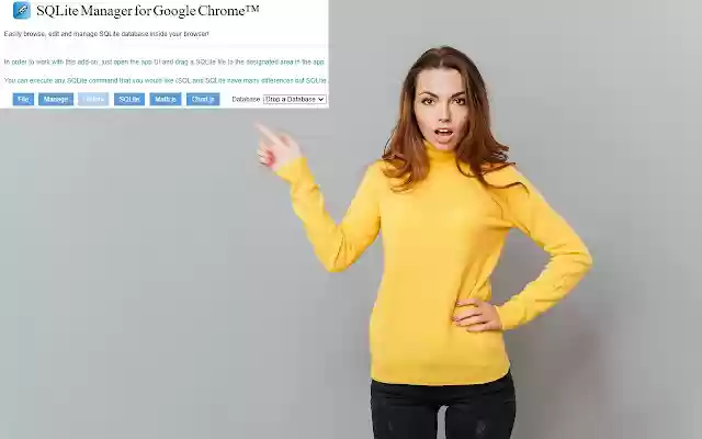 SQLite Manager for Google Chrome™ from Chrome web store to be run with OffiDocs Chromium online SQLite Manager for Google Chrome™ from Chrome web store to be run with OffiDocs Chromium online