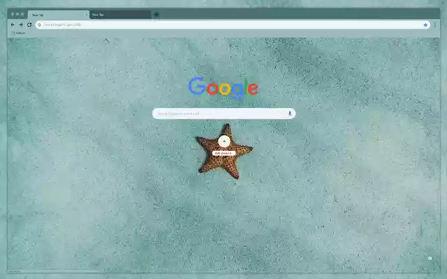 Starfish on sand from Chrome web store to be run with OffiDocs Chromium online Starfish on sand from Chrome web store to be run with OffiDocs Chromium online