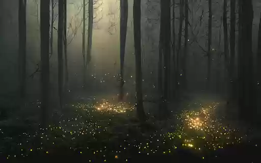 Stars fall in the night from Chrome web store to be run with OffiDocs Chromium online Stars fall in the night from Chrome web store to be run with OffiDocs Chromium online