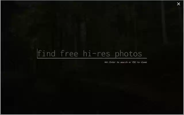 Stellar Photos  from Chrome web store to be run with OffiDocs Chromium online