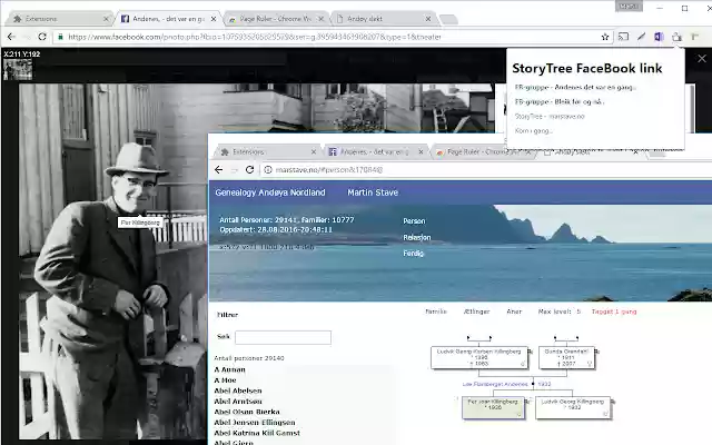 StoryTree-FB-Link aus dem Chrome-Webshop zur Ausführung mit OffiDocs Chromium online