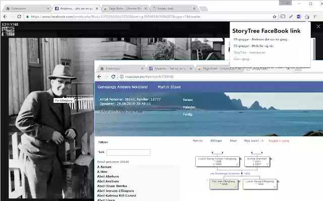 StoryTree FB link  from Chrome web store to be run with OffiDocs Chromium online