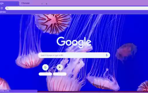 Sua from Chrome web store to be run with OffiDocs Chromium online Sua from Chrome web store to be run with OffiDocs Chromium online