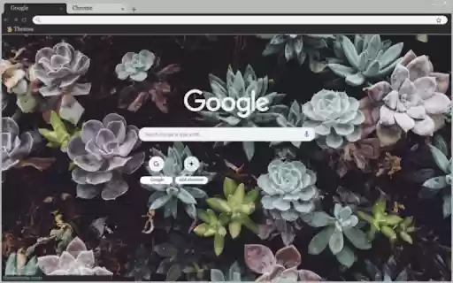 Succulent Jungle  from Chrome web store to be run with OffiDocs Chromium online