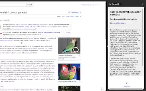 SumarAI  from Chrome web store to be run with OffiDocs Chromium online