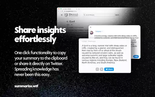 Summarize.wtf AI Copilot  from Chrome web store to be run with OffiDocs Chromium online
