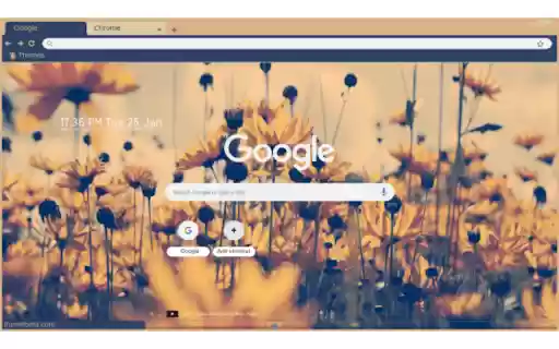 Sunflower fleid from Chrome web store to be run with OffiDocs Chromium online Sunflower fleid from Chrome web store to be run with OffiDocs Chromium online