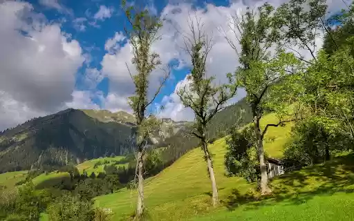 Sunlight on the lotus hill  from Chrome web store to be run with OffiDocs Chromium online