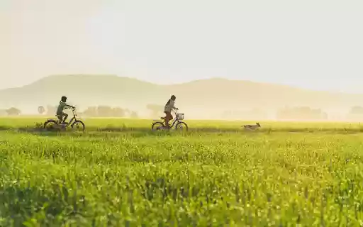 Sunlit Countryside Escape  from Chrome web store to be run with OffiDocs Chromium online