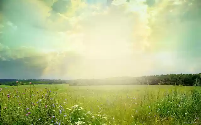 Sunlit Meadow  from Chrome web store to be run with OffiDocs Chromium online