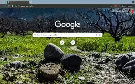 sunny peach garden from Chrome web store to be run with OffiDocs Chromium online sunny peach garden from Chrome web store to be run with OffiDocs Chromium online