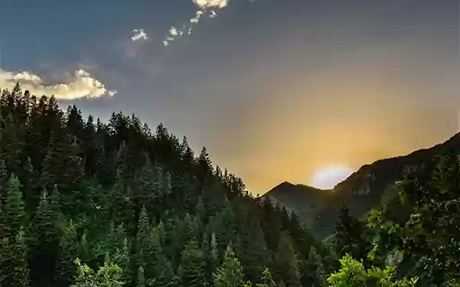 Sun Rising In The Big Forest At Cinego from Chrome web store to be run with OffiDocs Chromium online Sun Rising In The Big Forest At Cinego from Chrome web store to be run with OffiDocs Chromium online