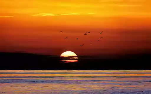 Sunset and the Sea from Chrome web store to be run with OffiDocs Chromium online Sunset and the Sea from Chrome web store to be run with OffiDocs Chromium online