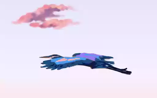 Sunset Birds !!  from Chrome web store to be run with OffiDocs Chromium online