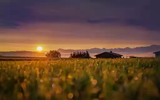 sunset in the fields from Chrome web store to be run with OffiDocs Chromium online sunset in the fields from Chrome web store to be run with OffiDocs Chromium online