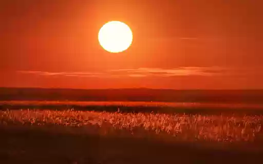 Sunset on the meadow  from Chrome web store to be run with OffiDocs Chromium online