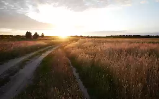 Sunshine on the small road  from Chrome web store to be run with OffiDocs Chromium online