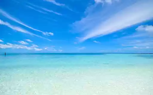 SunSplashSurf  from Chrome web store to be run with OffiDocs Chromium online