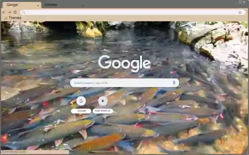 Suoi Ca Than Cam Luong  from Chrome web store to be run with OffiDocs Chromium online