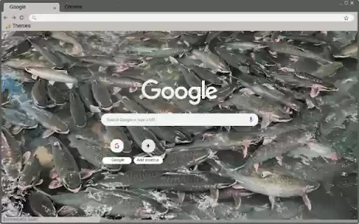 Suoi Ca Than Cam Luong 2  from Chrome web store to be run with OffiDocs Chromium online