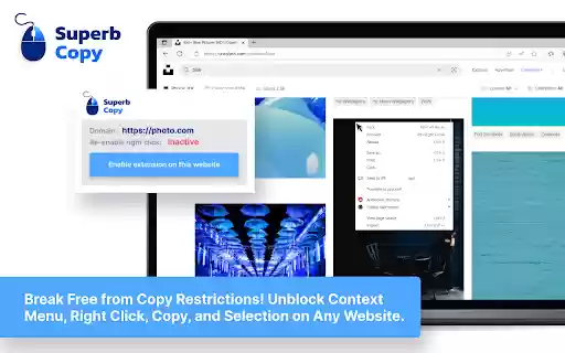 Superb Copy  from Chrome web store to be run with OffiDocs Chromium online