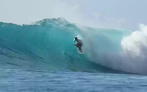 Surfing the sea  from Chrome web store to be run with OffiDocs Chromium online