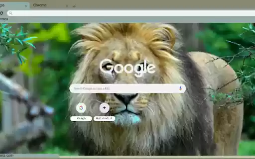 Su Tu  from Chrome web store to be run with OffiDocs Chromium online