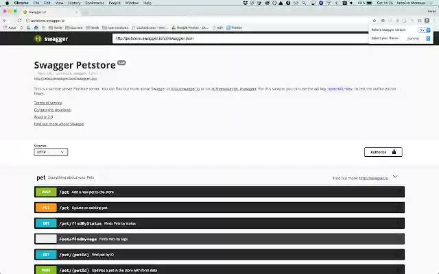 Swagger Ui Themes  from Chrome web store to be run with OffiDocs Chromium online