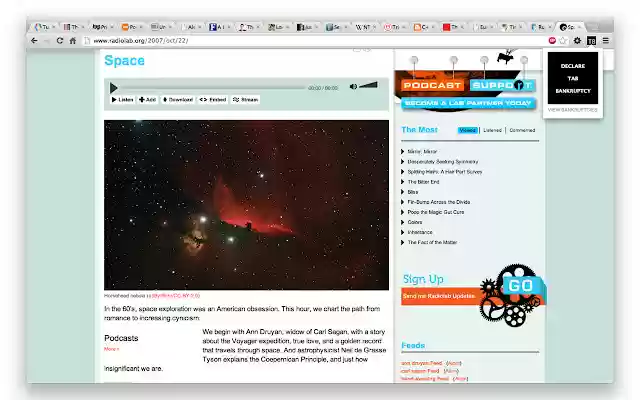 Tab Bankrupter  from Chrome web store to be run with OffiDocs Chromium online