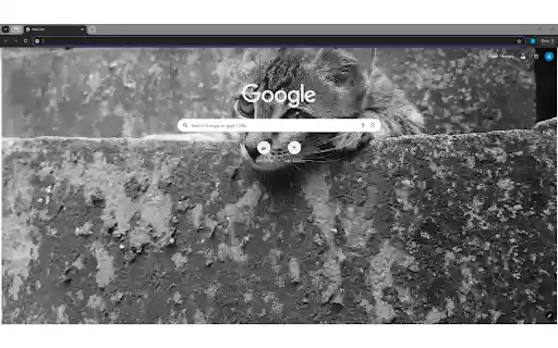 Tabby Kitten Lying on Concrete Stairs  from Chrome web store to be run with OffiDocs Chromium online