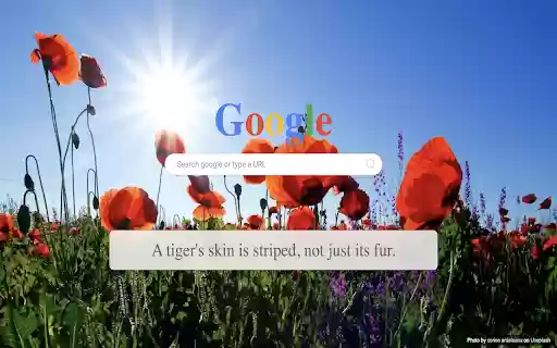TabFlux New Tab with Fun  Educational Facts  from Chrome web store to be run with OffiDocs Chromium online