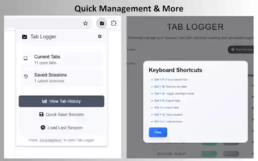 Tab Logger Simplify History  from Chrome web store to be run with OffiDocs Chromium online