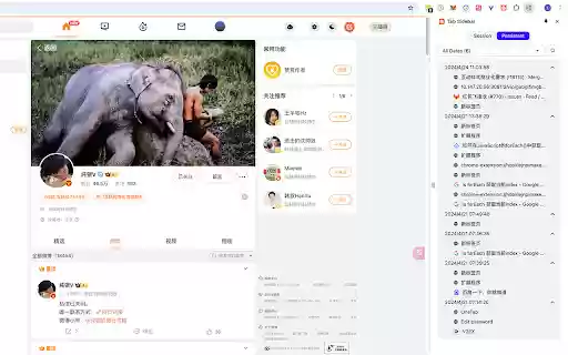 Tab Sider  from Chrome web store to be run with OffiDocs Chromium online